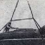 Requin 001