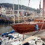 Requin 24