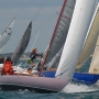 Requin 121
