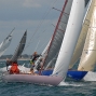 Requin 121