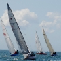 Requin 121