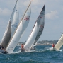 Requin 121