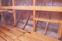 l1020569