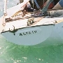 Requin 187