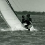 Requin 187