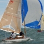 requin 198