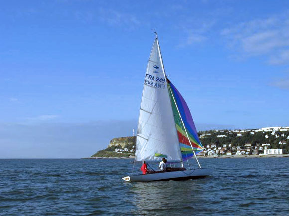 Requin 249