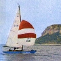 Requin 249