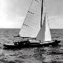 Requin 249