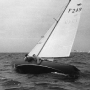 Requin 249