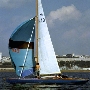 Requin 249