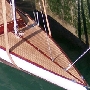 Requin 249