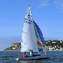 Requin 249