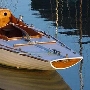 Requin 320
