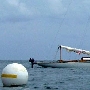 Requin 320