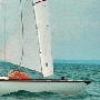 Requin 320