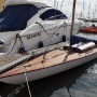 Requin 345