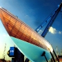 Requin 345