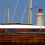 Requin 345