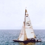 Requin 345