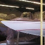 Requin 359