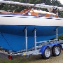 Requin 413