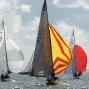Requin 418