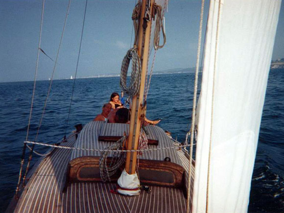 Requin 445 - Peppone