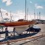 Requin 445 - Peppone
