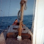 Requin 445 - Peppone