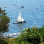 Requin 471
