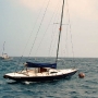 Requin 471
