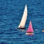 Requin 471