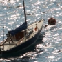 Requin 471