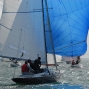 Requin 472