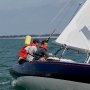 Requin 472