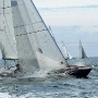 Requin 485 - Taol