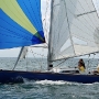 Requin 485 - Taol
