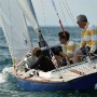 Requin 485 - Taol