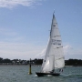 Requin 486