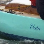 Requin 488