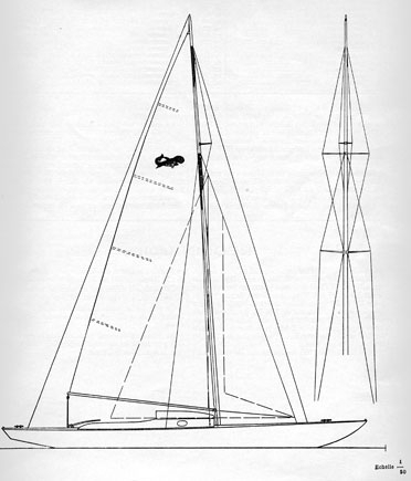 plans-requin-003
