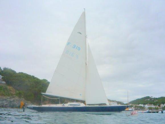Un Requin Pouvreau – Année 1961 – Prix 17 000 €